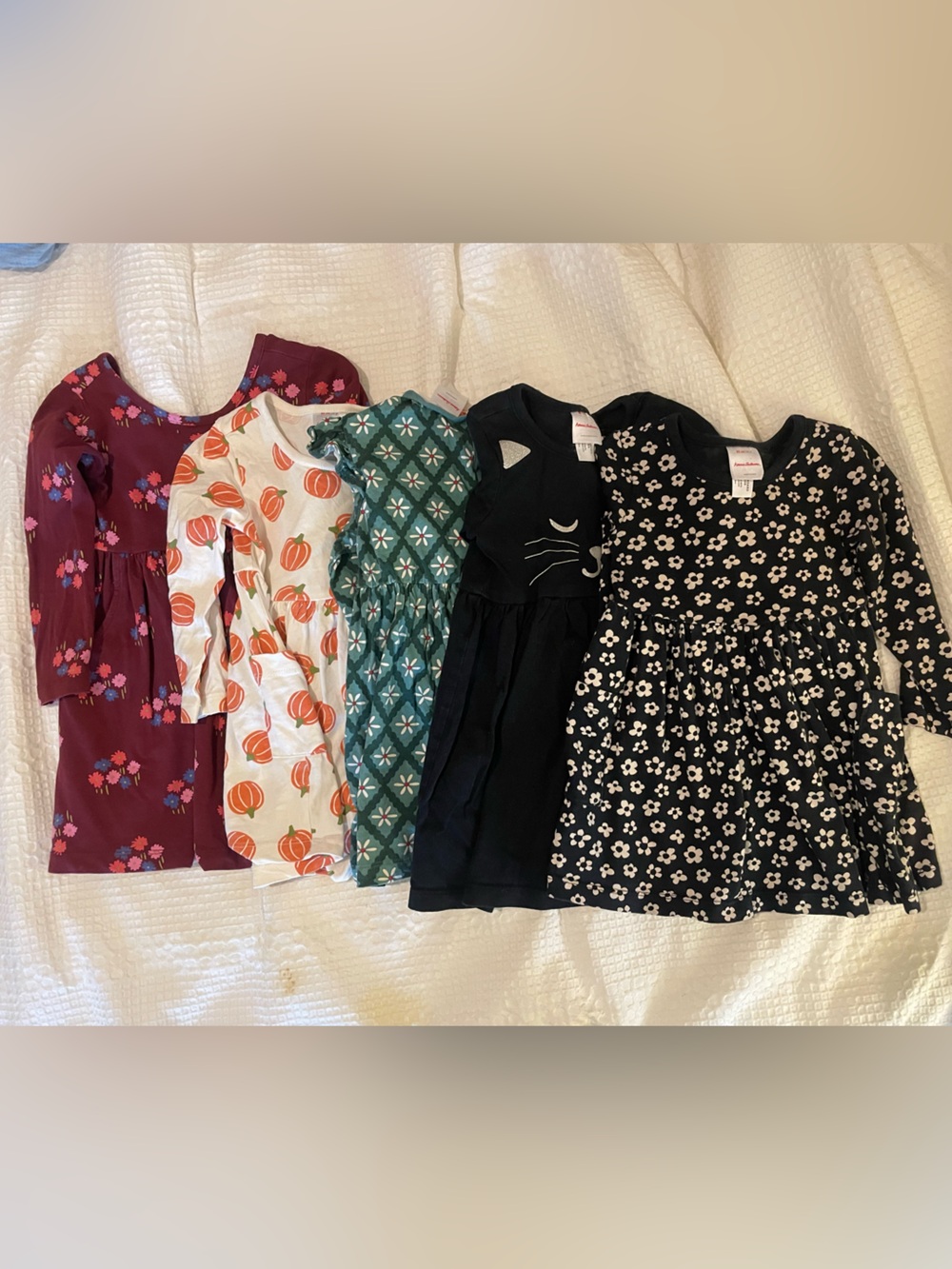 Bundle of 2T Hanna Andersson long sleeve dresses
